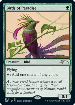 Birds of Paradise Secret Lair Drop - Ornithological Studies